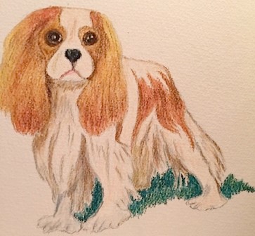 Cavaliers Of The West Oakland In January 2024 Cavalier King Charles   January 2024 Art 